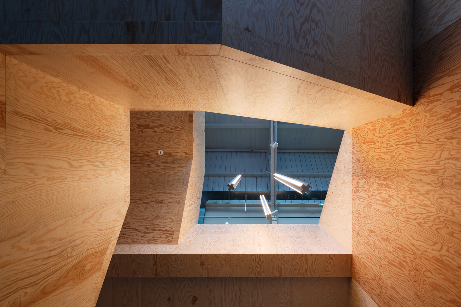 Nieuwe foto’s Attic